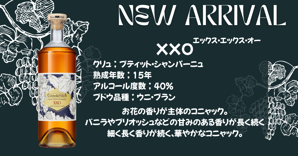 2025年1月リリース商品のお知らせ